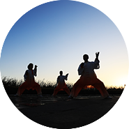Arts martiaux mixtes MMA